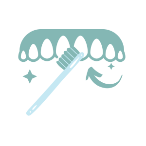Brush Brush
